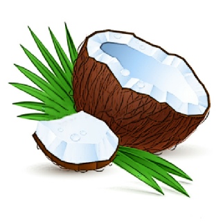 Kokosoel01.jpg